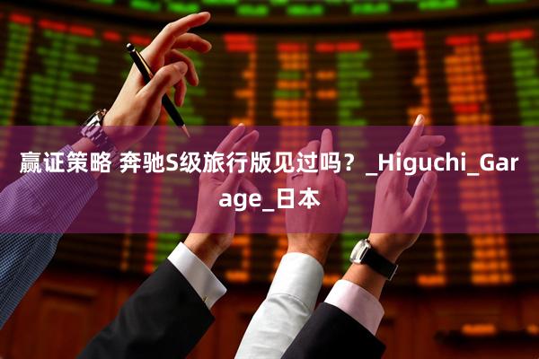 赢证策略 奔驰S级旅行版见过吗？_Higuchi_Garage_日本