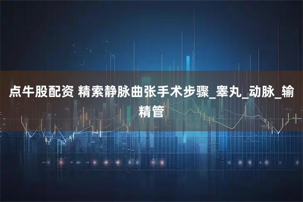 点牛股配资 精索静脉曲张手术步骤_睾丸_动脉_输精管