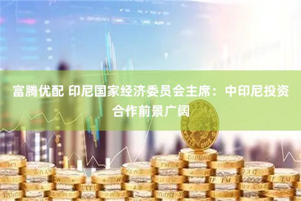 富腾优配 印尼国家经济委员会主席：中印尼投资合作前景广阔